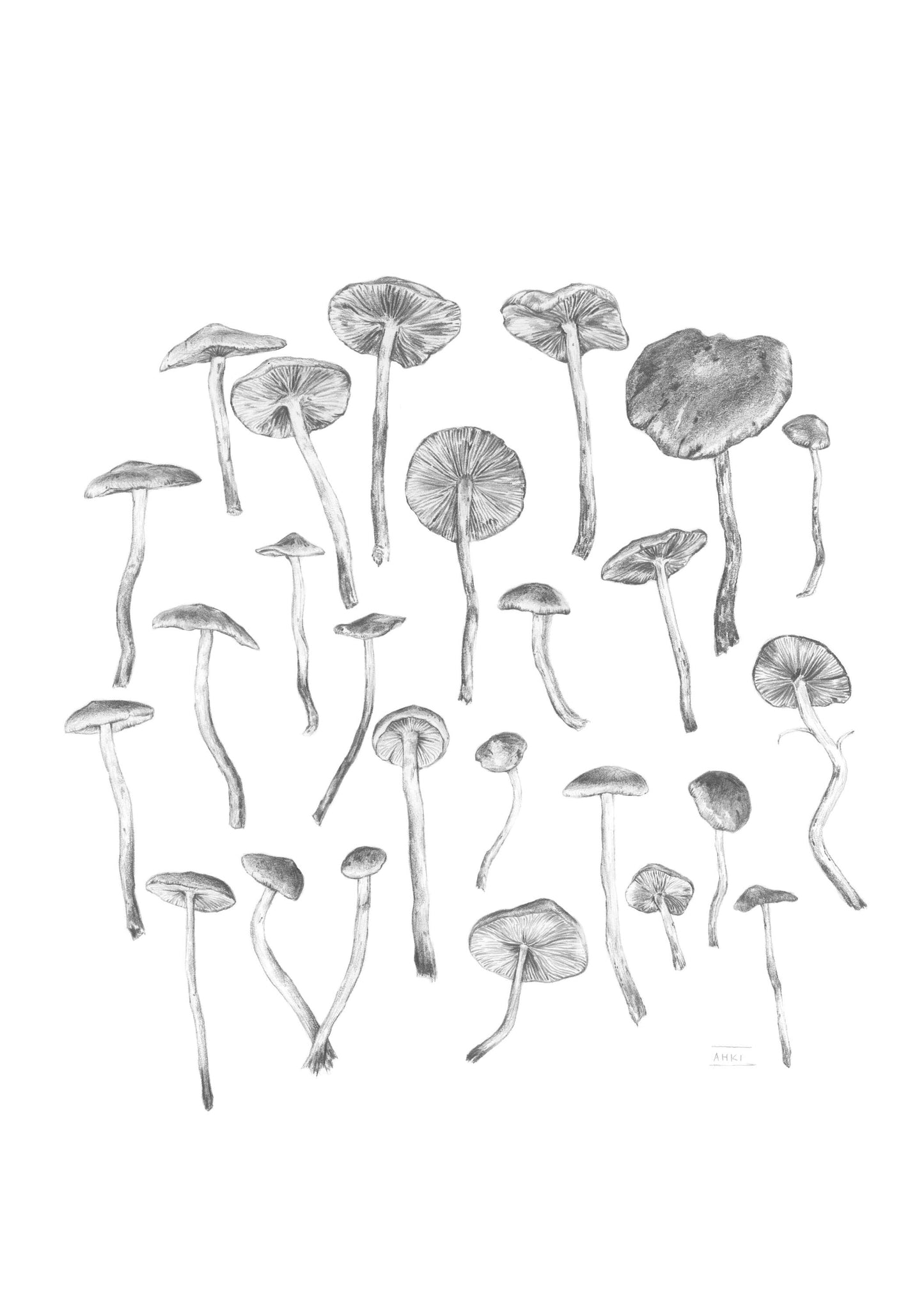 Mushrooms - Fine Art Print