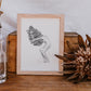 Banksia Lady Fine Art Print