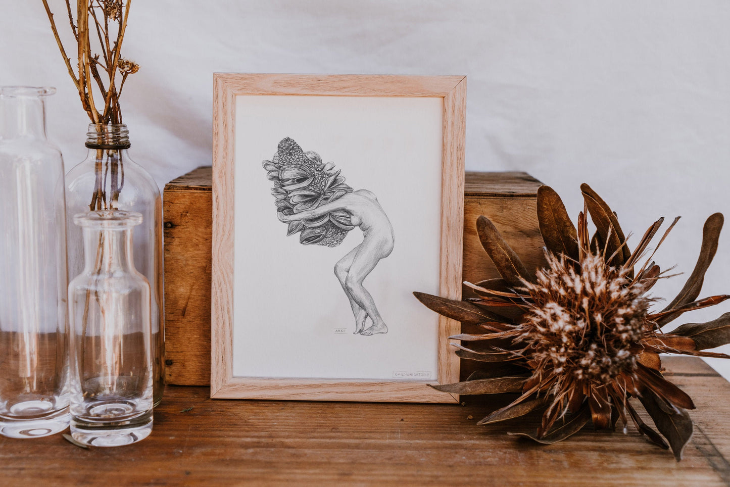 Banksia Lady Fine Art Print