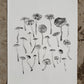 Mushrooms - Fine Art Print