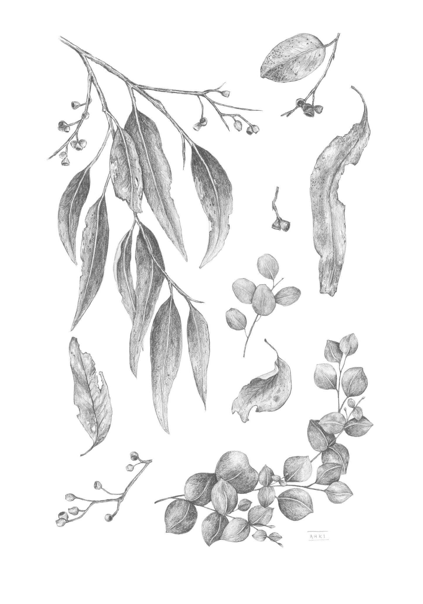 Leaves - Fine Art Print