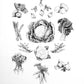Vegetables - Fine Art Print