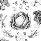 Vegetables - Fine Art Print