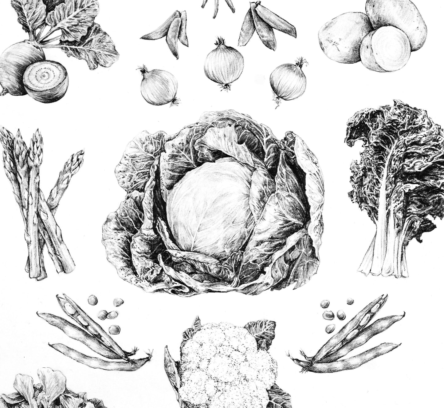 Vegetables - Fine Art Print