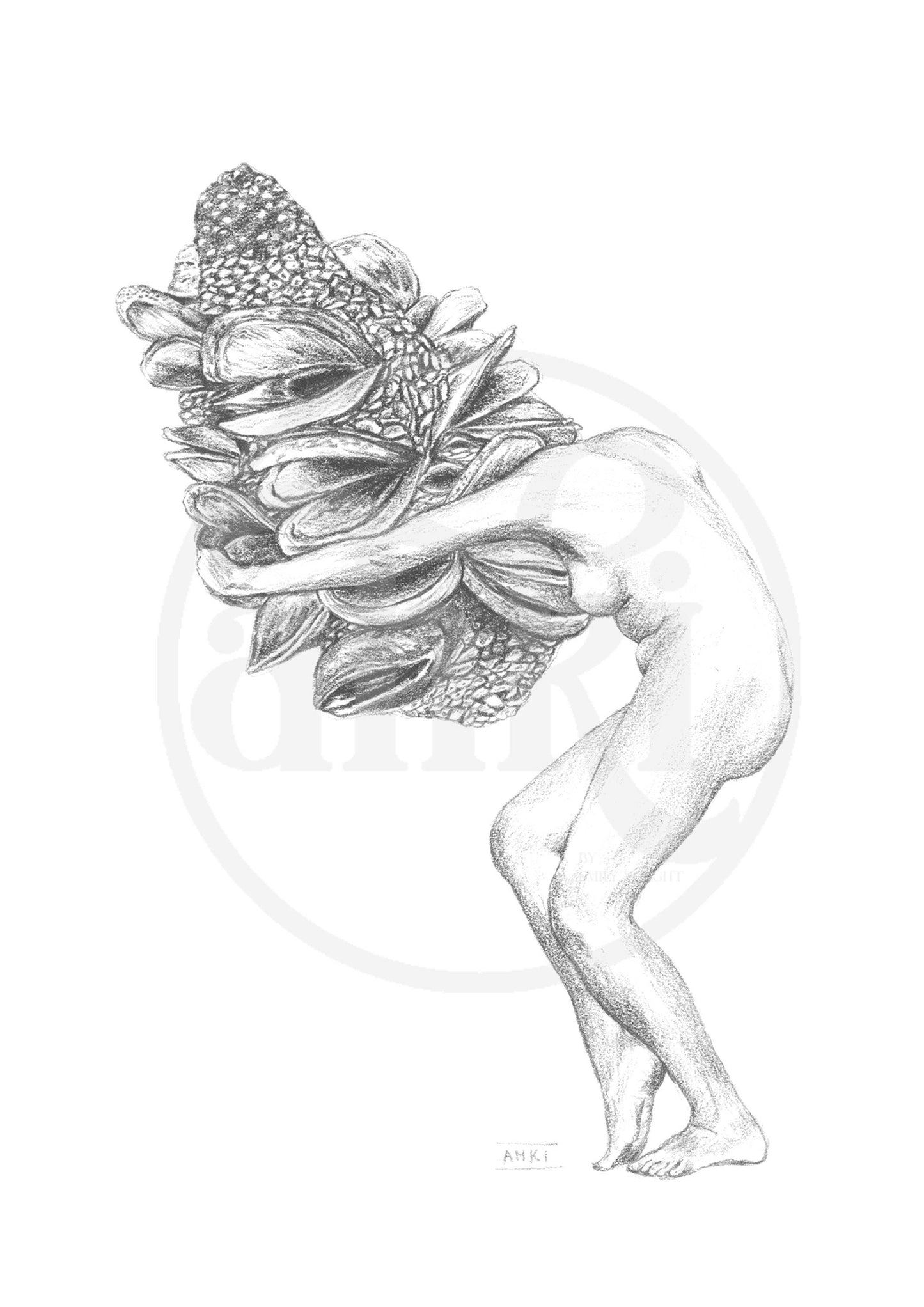 Banksia Lady Fine Art Print