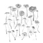 Mushrooms - Fine Art Print