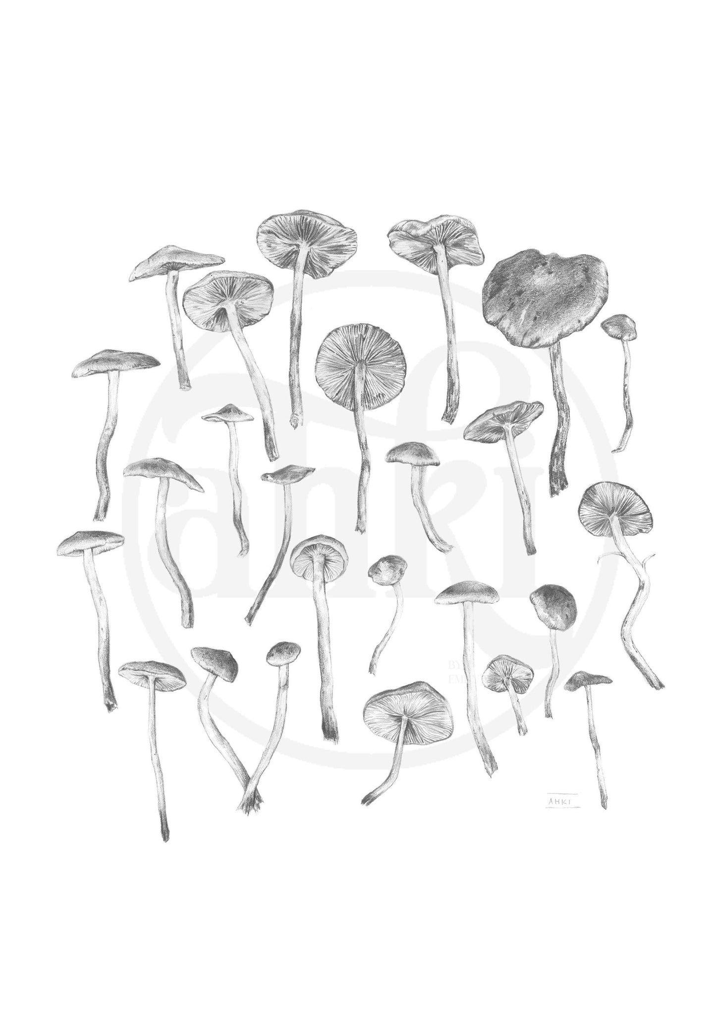 Mushrooms - Fine Art Print