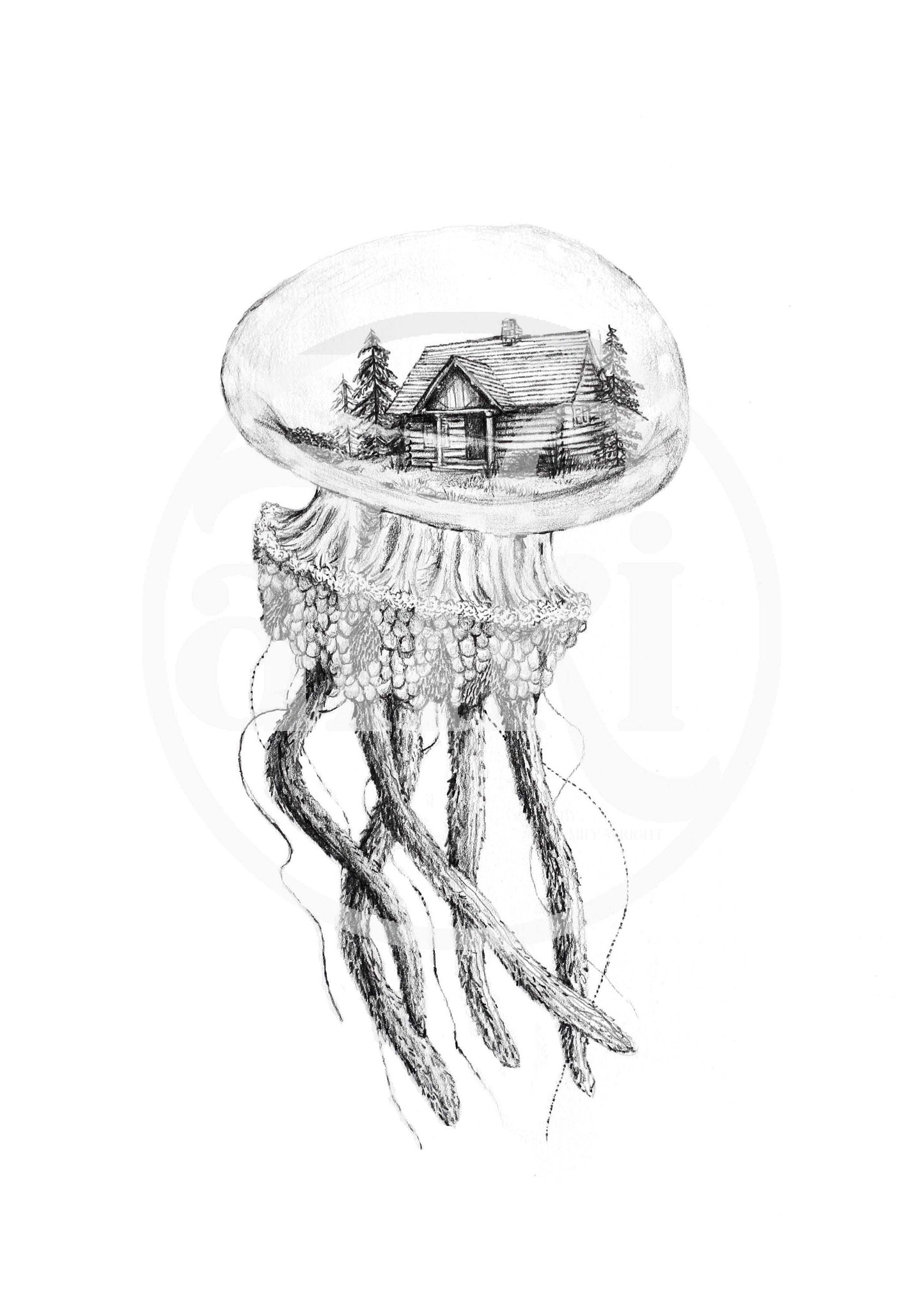 Jellyfish Home #1 - Fine Art Print