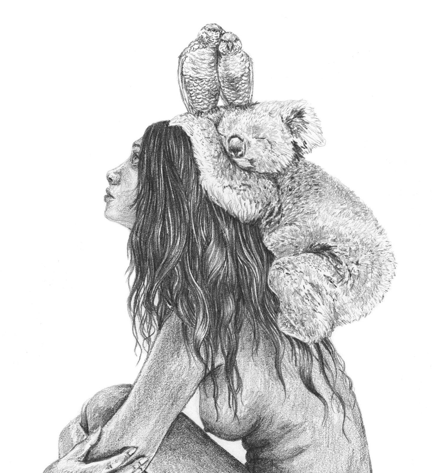 Koala Girl - Australian Stacks Series - Fine Art Print