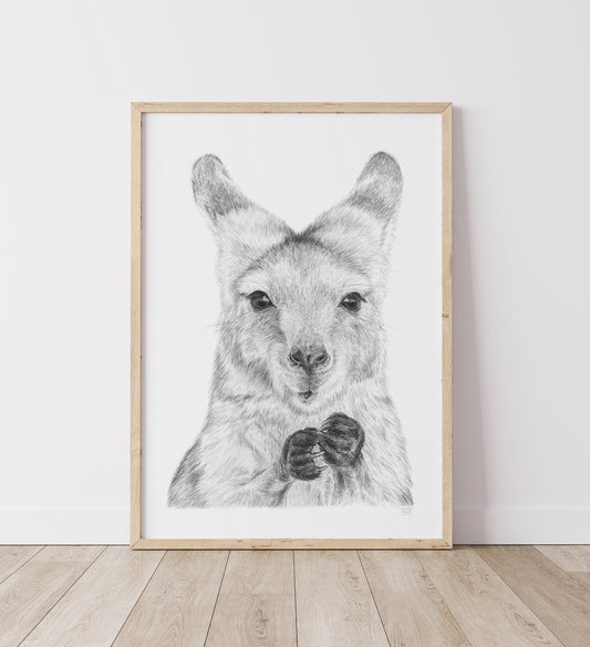 Joey Australian Animals - Fine Art Print