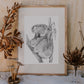 Koala Australian Animals - Fine art print