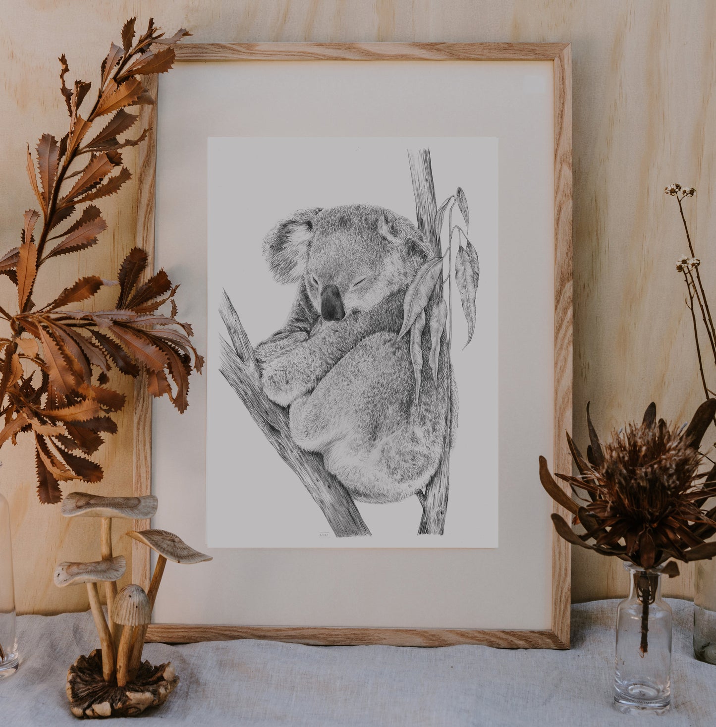 Koala Australian Animals - Fine art print