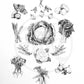 Vegetables - Fine Art Print