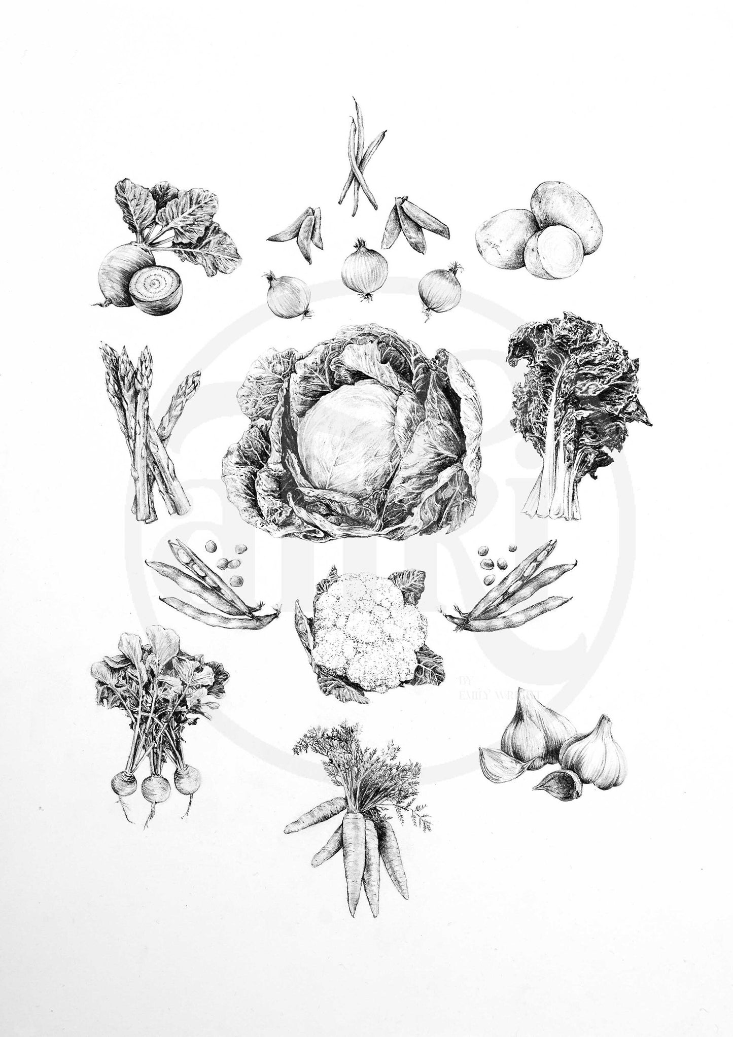 Vegetables - Fine Art Print