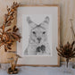 Joey Australian Animals - Fine Art Print