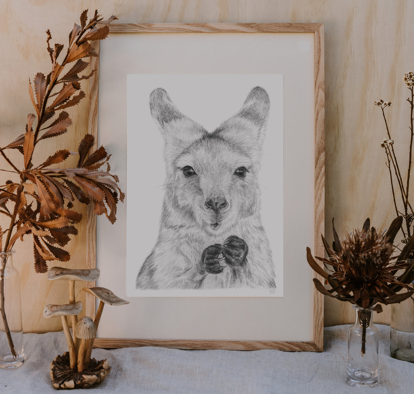 Joey Australian Animals - Fine Art Print