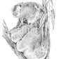 Koala Australian Animals - Fine art print
