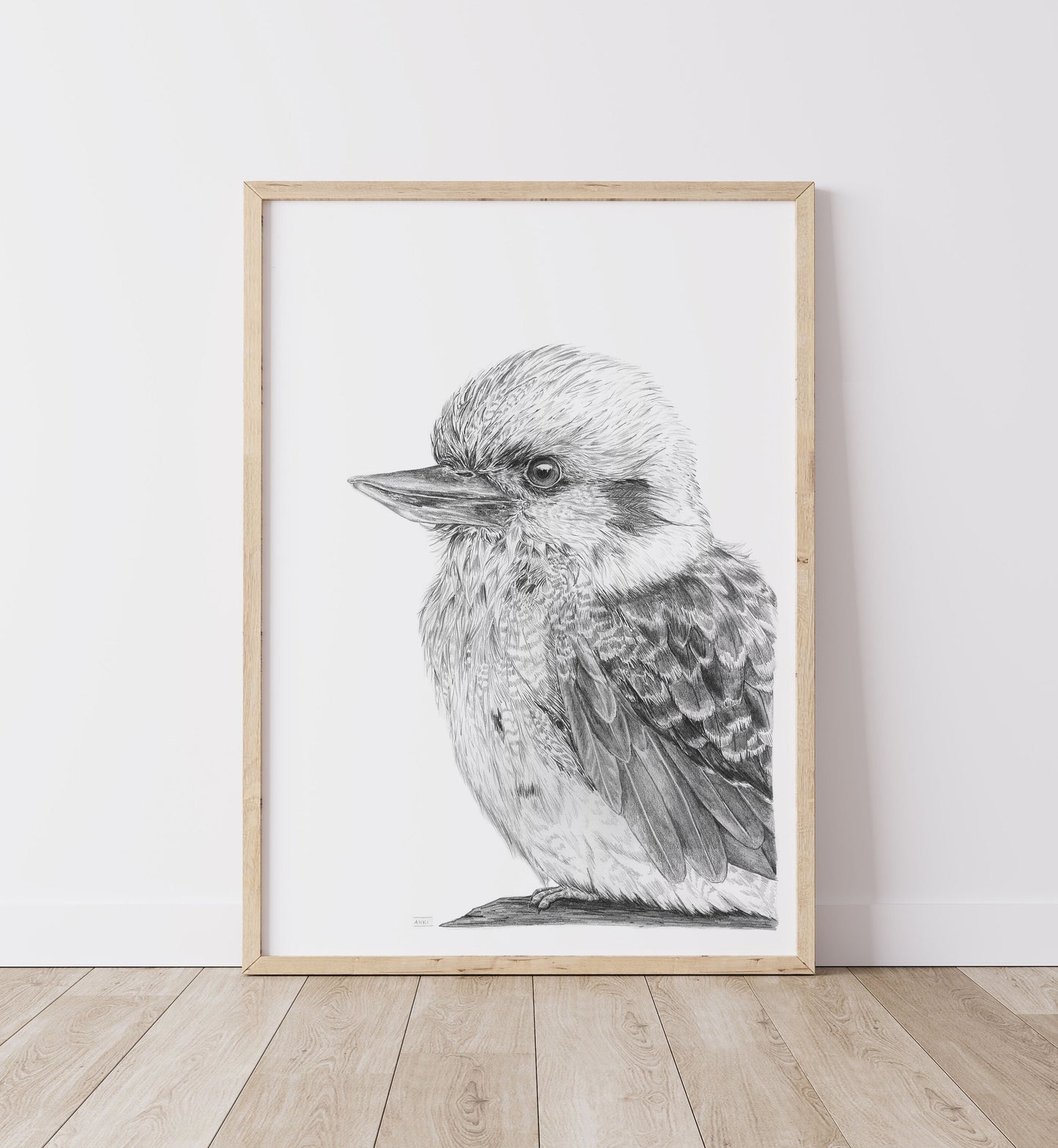 Kookaburra Australian Animals - Fine Art Print