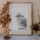 Kookaburra Australian Animals - Fine Art Print