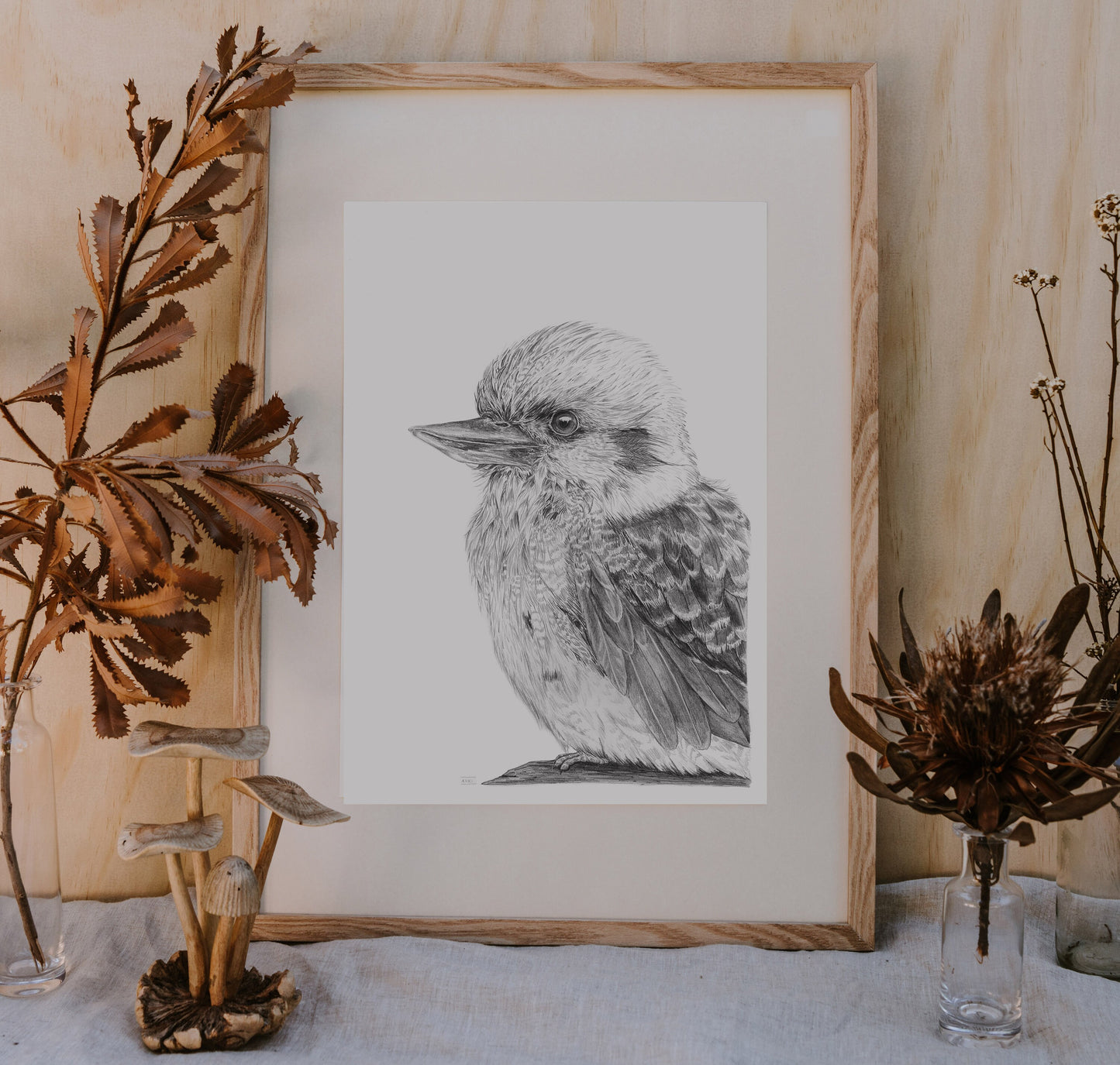 Kookaburra Australian Animals - Fine Art Print