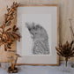 Gang Gang Bird Australian Animals - Fine Art Print