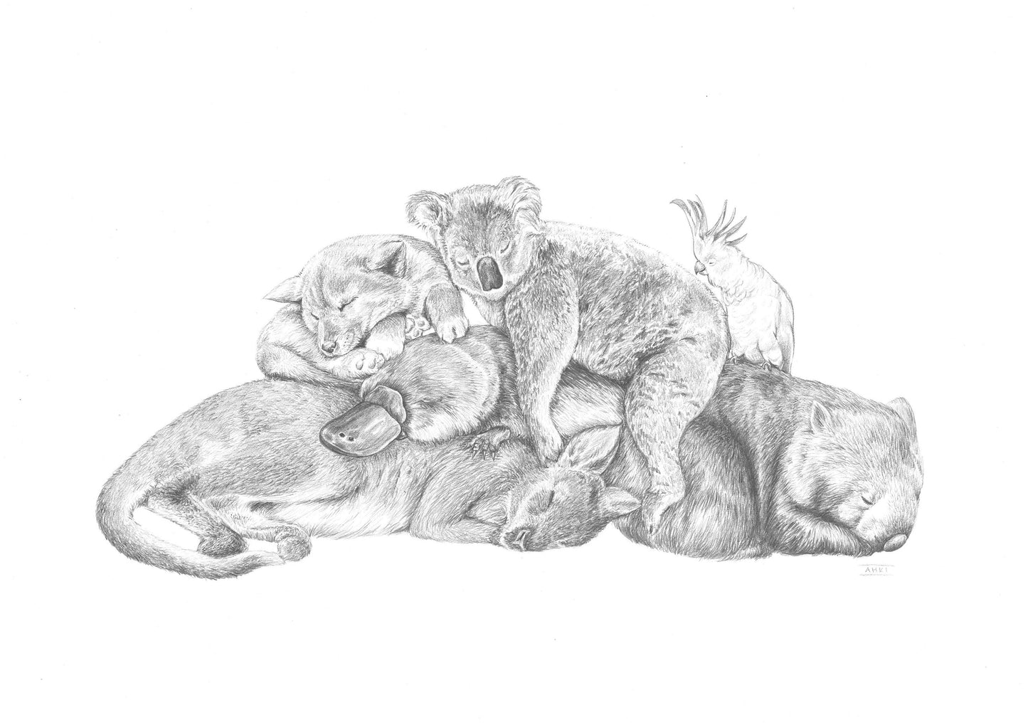 Snuggle Pile - Australian Animals - Fine Art Print