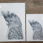 Gang Gang Bird Australian Animals - Fine Art Print