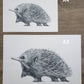 Echidna Australian Animals - Fine Art Print