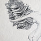 Banksia Lady Fine Art Print