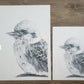 Kookaburra Australian Animals - Fine Art Print
