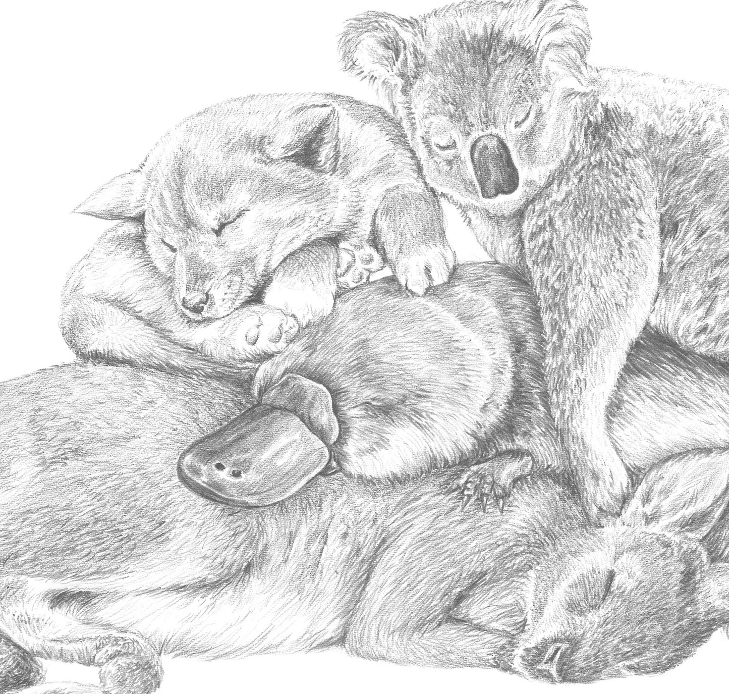 Original Snuggle Pile Artwork - Graphite Pencil on Paper